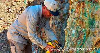 Carnaby Resources buy Mount Hope copper lease for $2m - The North West Star