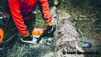 „Forstleute sind am Limit“ - leinetal24.de