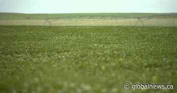 Federal government gives additional $750 million for Canadian superclusters