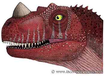 Lacombe teen is drawing attention for her incredibly intricate dinosaur art – Lacombe Express - Lacombe Express