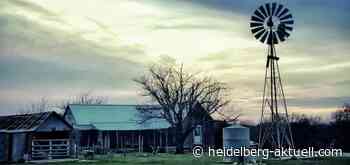 The Dark and the Wicked - Heidelberg aktuell