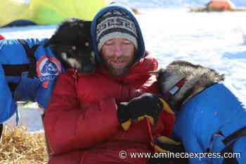 Dogs owned by Iditarod vet, reality TV star kill family pet - Omineca Express