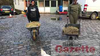 Dalston charity Inspire gets London City Airport grant - Hackney Gazette