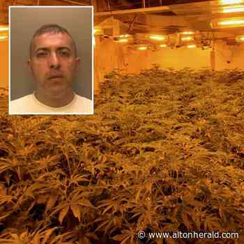 High flying drug lord jailed after huge cannabis factory discovered in Farnham | altonherald.com - Alton Herald