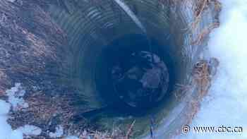 Missing German shepherd rescued from well near village of Love, Sask.