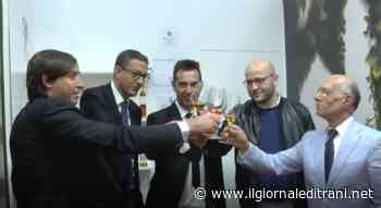 Trani e il suo moscato al Vinitaly. Obiettivo: valorizzare l'oro liquido della città - Radio Bombo