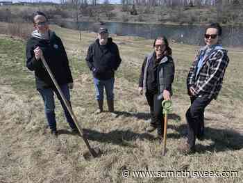 Tree coalition embarks on new project | Sarnia & Lambton County This Week - Sarnia and Lambton County This Week