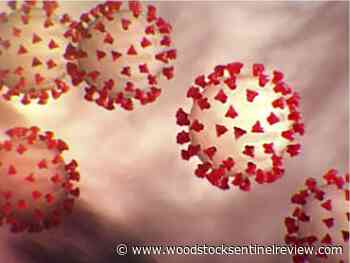 COVID-19 antiviral treatment available in Sarnia-Lambton - Woodstock Sentinel Review