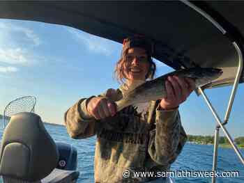 Second annual Blue Coast Walleye Challenge returns to Sarnia-Lambton - Sarnia and Lambton County This Week