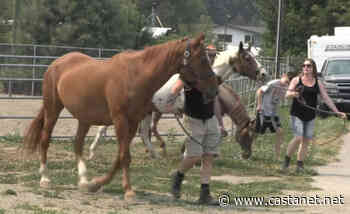 Armstrong council to look at report on response to 2021 wildfires - Vernon News - Castanet.net