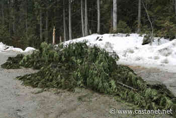 Popular Armstrong-Spallumcheen hiking area again struck by vandals - Vernon News - Castanet.net
