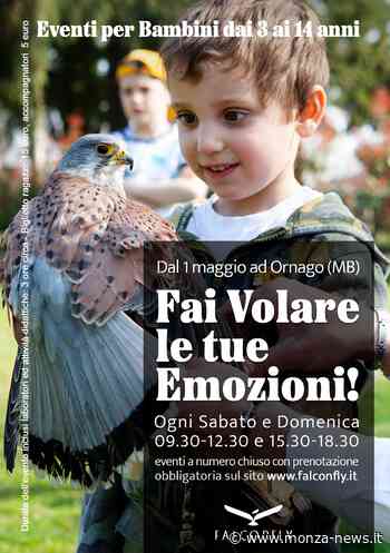 Brianza, da maggio Falconfly organizza eventi per bambini con rapaci ad Ornago - Monza-News