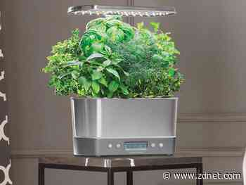 5 best indoor gardens of 2022: Cool smart gardens