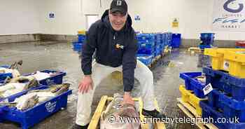 The 'cod-father' fish sold in Grimsby measuring nearly 6 foot long - Grimsby Live