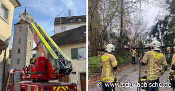 Lindau: Zwei Feuerwehr-Einsätze mit Drehleiter an einem Tag - Schwäbische
