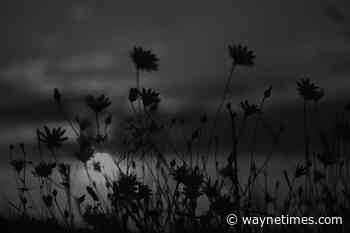 Silliman, Lorraine I. - The Times of Wayne County