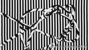 Traunstein: Bewegungsstudien nach dem Tanzpionier Rudolf von Laban in Bild & Text - chiemgau24.de