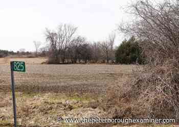 MZO clears way for 786 new homes in Millbrook - The Peterborough Examiner