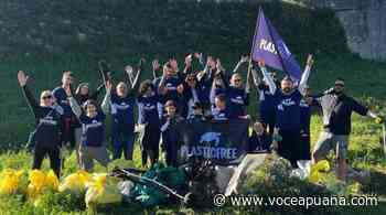 Volontari all'opera a Montignoso, rimossi 400 chili di rifiuti - La Voce Apuana