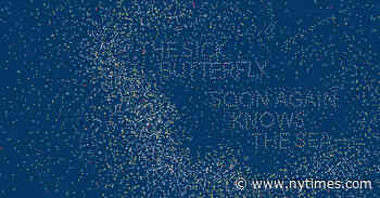 Review: ‘Flight and Metamorphosis,’ by Nelly Sachs