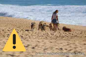 Lytham: Beach’s dog exclusion zone comes into force today