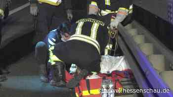 Drei Tage nach Unfall: Hund auf Autobahn bei Bad Hersfeld gerettet - hessenschau.de