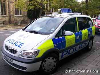 Gruesome discovery as over 100 dead lambs found ‘dumped’ on farm - Harrow Online