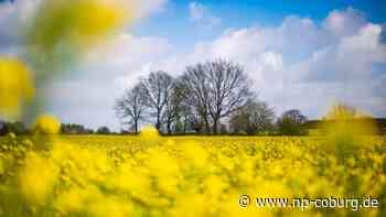 Aussichten - Wetter an Ostern zumeist sonnig - Neue Presse Coburg