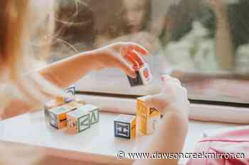 B.C. dad gets $100 of $3250 costs returned in child-care dispute - Dawson Creek Mirror