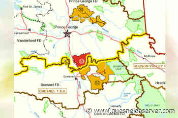 Annual allowable cut increased for tree farm licence north of Quesnel – Quesnel Cariboo Observer - Quesnel - Cariboo Observer