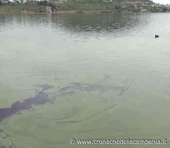 Bacoli, prosegue monitoraggio lago Averno per l'acqua rossa - Cronache Campania