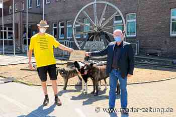 Marl: Eine umzäunte Hundewiese - Der Standort ist das Problem - Marler Zeitung