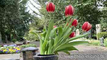 Am Ostersonntag nicht allein sein: Koblenzer Hauptfriedhof wird Ort der Begegnung - Rhein-Zeitung