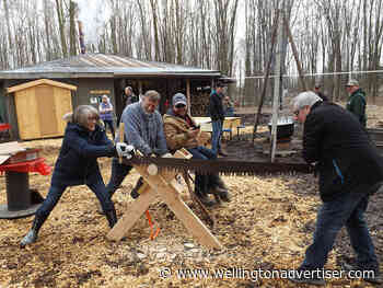 Syrup producers set to celebrate Maple Weekend April 2 to 3 - Wellington Advertiser