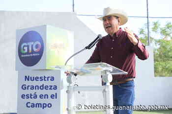 Entrega SDAyR 1100 pacas a ganaderos de Juventino, Comonfort y Tarimoro - Gobierno del Estado de Guanajuato