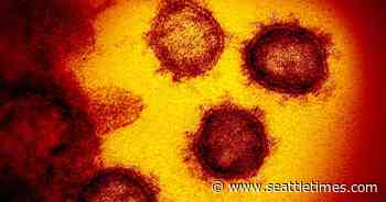 Many coronavirus cases go uncounted. Are there better ways to track the pandemic? - The Seattle Times