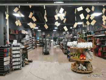 Nice. Les Animaux Fantastiques : où trouver les produits iconiques de la saga Harry Potter ? - actu.fr