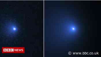 Nasa scientists spy 'largest comet ever seen'