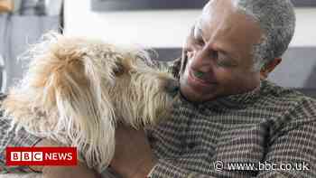 Mutations across species reveal clues to ageing