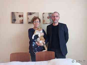 Sartrouville : ces deux habitants demandent de l’aide pour l’accueil des chats - Le Réveil Normand
