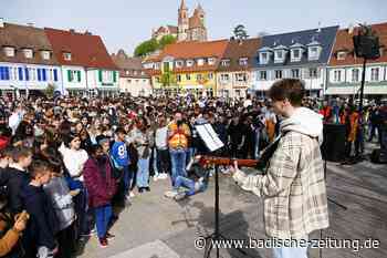 Fast 1000 Jugendliche bei Sternlauf in Breisach - Breisach - Badische Zeitung