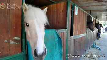 "Con lo sgombero del Galoppatoio chiusa in tempi record un'affittopoli che durava da anni"