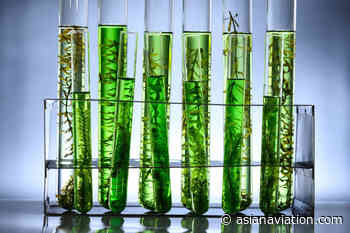 GE Aviation joins Roundtable on Sustainable Biomaterials - Asian Aviation