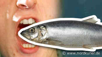 Angler beißt lebendigem Fisch Kopf ab – Peta-Anzeige in Stralsund - Nordkurier