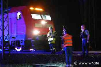 Regionalexpress stößt mit Reh zusammen