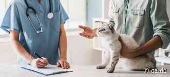Bonn/Region: Diese Tierärzte bieten Notfallsprechstunden an - General-Anzeiger Bonn