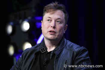 Elon Musk sued by investor over delayed Twitter filing