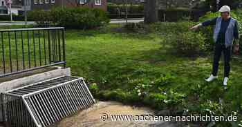 Kein Schutz am Schutzgitter: Tödliche Falle für Entenküken am Hangeweiher