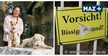 Blankenfelde-Mahlow: Einstufung als „gefährlicher Hund“ lässt Hundehalterin verzweifeln - Märkische Allgemeine Zeitung