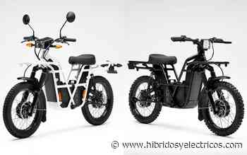 Mediante inteligencia artificial desarrollarán baterías libres de cobalto para motos eléctricas - Híbridos y Eléctricos